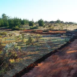Parcela en venta en Pichilemu — foto 3 de 12