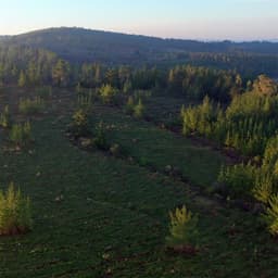 Parcela en venta en Pichilemu — foto 10 de 12