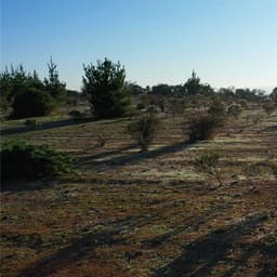 Parcela en venta en Pichilemu — foto 4 de 12